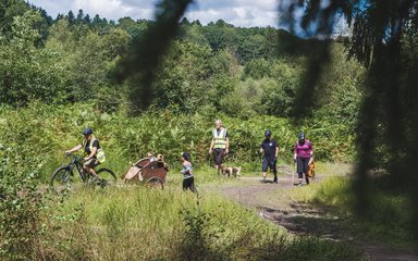  Community trail clean