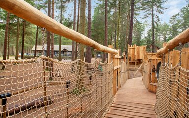 Walkway in forest play area