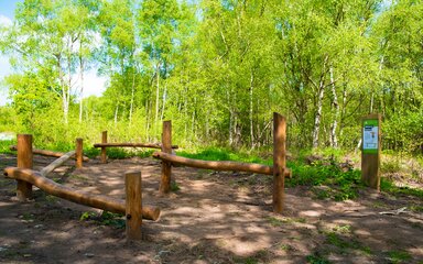 Play feature at Delamere Whitefield