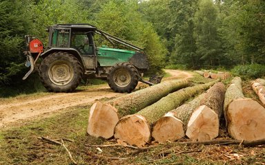 A green tractor on a forest road facing a pile of Douglas fir logs on the ground