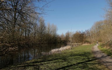 Lakeside path at Drinkwater Path 