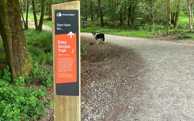 A wooden post with a sign saying 'easy access trail' is shown on a woodland path. There is a dog in the background.