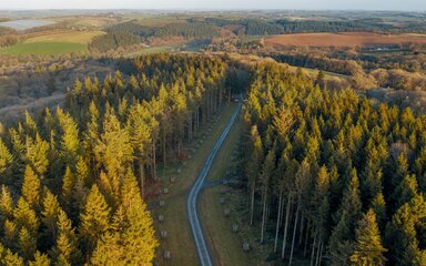 Aerial photo showing a paved avenue between stands of trees.