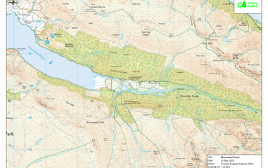 A section of map showing Ennerdale forest