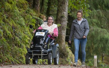 Tramper user and walker on a forest road