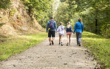 Two adults and two children walking away from the camera up a forest road