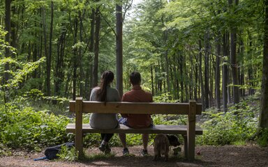 Two people sat on a bench looking in to green woodland. They also have a small dog with them.