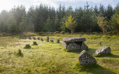 Bellever forest cist and standing stones