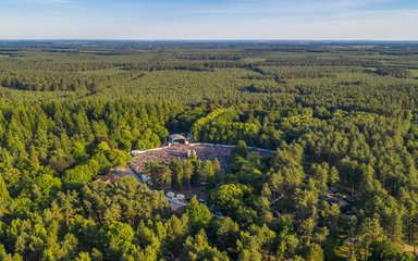 An aerial view of the Forest Live stage at Thetford Forest 