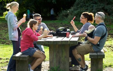 Family having picnic and ice cream in the forest