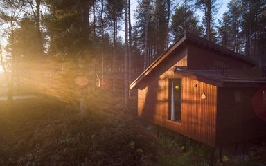 Forest Holidays cabin in the forest on a sunny day