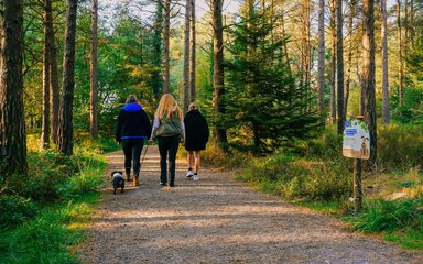 Three women walking along a forest path, one walking a small dog on a lead.