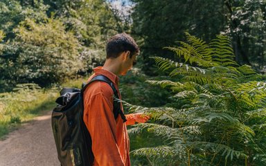 Side view of a man in an orange shirt, wearing a backpack, stroking a fern leaf in the forest.