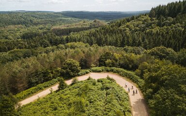 Aerial view of green forest with cyclists on a winding path.