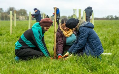 Family planting woodland