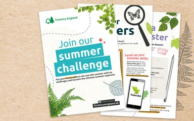 Forestry England Summer Challenge activity sheets 