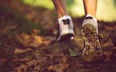 Running trainers on forest floor