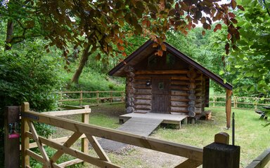 Front entrance of small log cabin in Grizedale forest