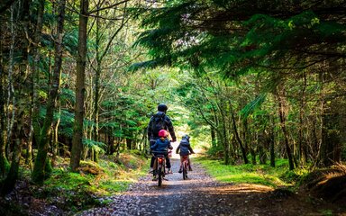 Seen from behind, a man cycling on a forest path with a child in a rear seat and another cycling alongside