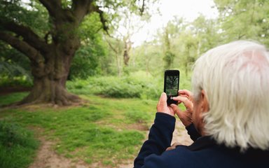 A person with their back to the camera takes a photo of a tree on a mobile phone