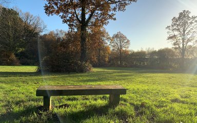 Havant Thicket glade in autumn, with bench and trees