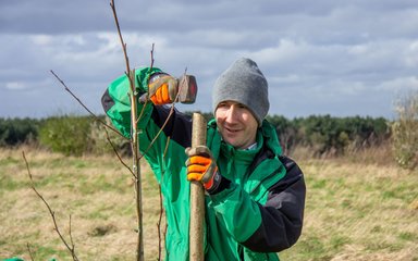 A man wearing Forestry England holding a wooden post and a mallet, standing next to a sapling tree.