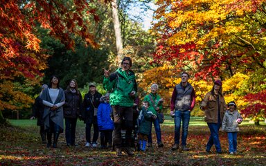 A group on guided walk during autumn are lead through brightly coloured maple trees