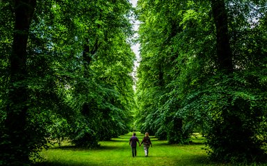 Couple walking down Lime Avenue Westonbirt