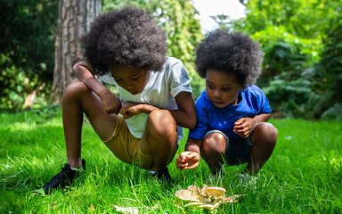 two young boys crouched on the grass looking at mushrooms with trees in the background 