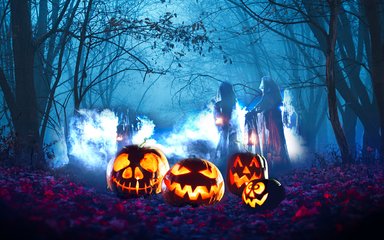 Halloween scene with pumpkins in the forest at night