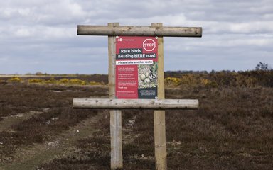 A red sign saying rare birds nesting here and please take another route
