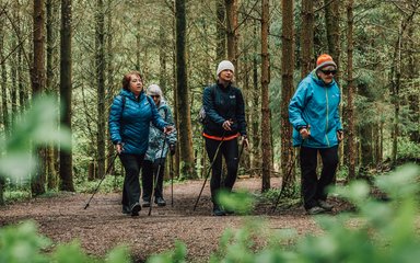 Group of women nordic walking in the forest