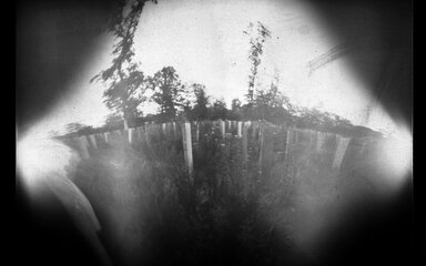 A black and white warped image of a woodland with blurry figures and tree tubes.