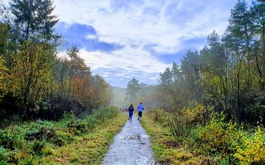 Salcey 5km running trail 