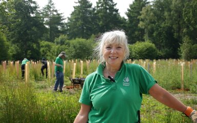 A female volunteer in a green polo shirt stands smiling in the sun, surrounded by colourful tree tubes