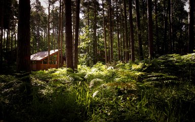 Forest Holidays cabin in the woods at Sherwood Pines 