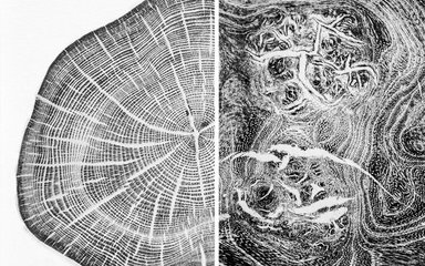 prints created by hand from wood