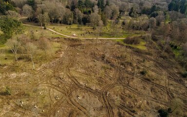 A drone image showing a vast piece of land that has been clear felled.