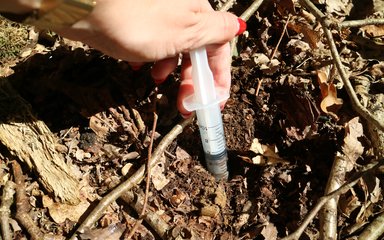 An image of an eDNA soil sample being taken