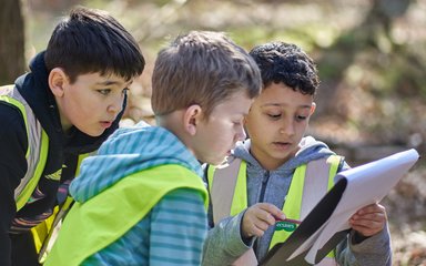 Three children looking at paper on a clipboard in a forest