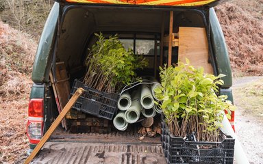 Utility vehicle with boot popped open showing interior filled with crated tree saplings and other tree planting equipment.