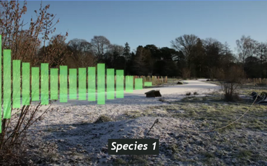 Green bars representing sounds of birds sits on top of a winter landscape image