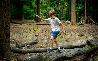 A boy in a white t-short and blue shorts balancing on a fallen log in a forest.