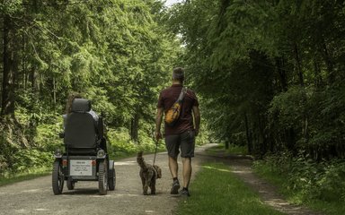 Walker and Tramper user with dog on a forest road
