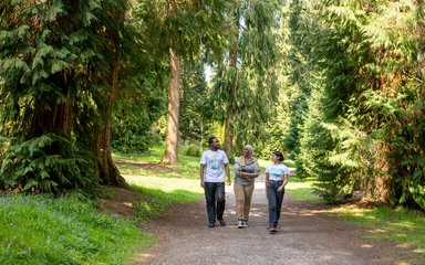 Three people walking through the forest