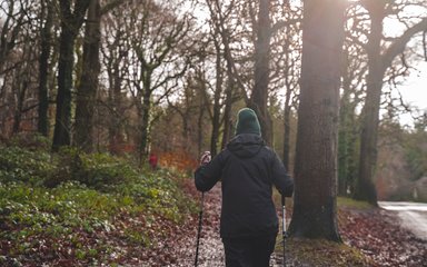 The back of a person wearing a woolly hat and walking with two poles along a forest path.