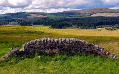 Open landscape image showing green and yellowing grass with part of a old stone wall. Rolling hills in the background.