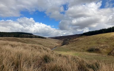 Undulating grassy hills stretch into the distance, with white fluffy clouds in the blue sky