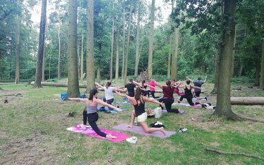 Group doing yoga among the trees in the forest