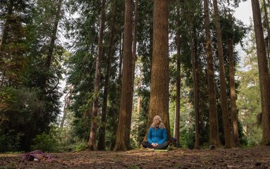 Woman yoga pose in forest